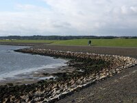 NL, Friesland, Terschelling 8, Saxifraga-Foto Fitis-Sytske Dijksen