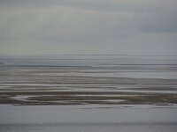 NL, Friesland, Terschelling, Griend 2, Saxifraga-Foto Fitis-Sytske Dijksen