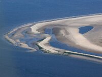 NL, Friesland, Vlieland, Vliehors 98, Saxifraga-Foto Fitis-Sytske Dijksen