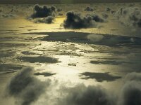 NL, Noord-Holland, Texel 98, Saxifraga-Foto Fitis-Sytske Dijksen