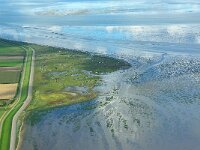 NL, Noord-Holland, Texel, De Schorren 11, Saxifraga-Foto Fitis-Sytske Dijksen