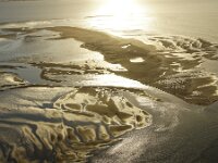NL, Noord-Holland, Texel, Eierlandse Gat 11, Saxifraga-Foto Fitis-Sytske Dijksen