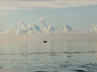 NL, Noord-Holland, Texel, Nieuweschild 1, Saxifraga-Foto Fitis-Sytske Dijksen