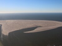 NL, Noord-Holland, Texel, Noorderhaaks 6, Saxifraga-Foto Fitis-Sytske Dijksen