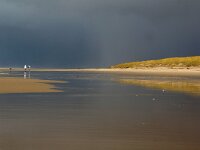 NL, Noord-Holland, Texel, paal 9 21, Saxifraga-Foto Fitis-Sytske Dijksen
