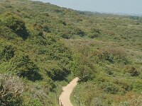 NL, Zeeland, Veere, Dishoek 8, Saxifraga-Jan van der Straaten