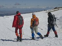 E, Granada, Monachil, Pradollano 17, Saxifraga-Jan van der Straaten