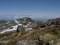 E, Granada, Monachil, Pradollano 35, Saxifraga-Willem van Kruijsbergen