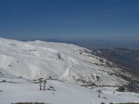 E, Granada, Monachil, Pradollano 37, Saxifraga-Willem van Kruijsbergen