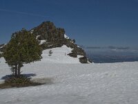 E, Granada, Monachil, Pradollano 51, Saxifraga-Willem van Kruijsbergen