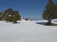 E, Granada, Monachil, Pradollano 52, Saxifraga-Willem van Kruijsbergen