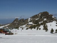 E, Granada, Monachil, Pradollano 58, Saxifraga-Willem van Kruijsbergen