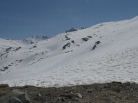 E, Granada, Monachil, Pradollano 59, Saxifraga-Willem van Kruijsbergen