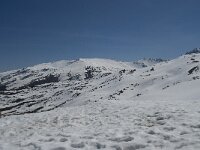 E, Granada, Monachil, Pradollano 60, Saxifraga-Willem van Kruijsbergen