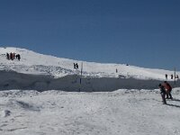 E, Granada, Monachil, Pradollano 64, Saxifraga-Willem van Kruijsbergen