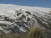 E, Granada, Monachil, Sierra Nevada 1, Saxifraga-Jan van der Straaten
