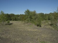 B, Liege, Plombieres 45, Saxifraga-Willem van Kruijsbergen