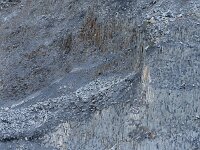 D, Rheiland-Pfalz, Wirgens, Siershahn 2, Saxifraga-Mark Zekhuis