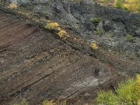 D, Rheinland-Pfalz, Gerolstein, Rockskyll 10, Saxifraga-Willem van Kruijsbergen