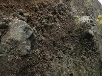 D, Rheinland-Pfalz, Gerolstein, Rockskyll 21, Saxifraga-Willem van Kruijsbergen