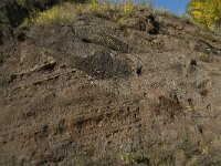 D, Rheinland-Pfalz, Gerolstein, Rockskyll 22, Saxifraga-Willem van Kruijsbergen