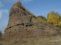 D, Rheinland-Pfalz, Gerolstein, Rockskyll 36, Saxifraga-Willem van Kruijsbergen