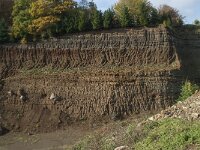 D, Rheinland-Pfalz, Gerolstein, Rockskyll 37, Saxifraga-Willem van Kruijsbergen