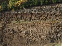 D, Rheinland-Pfalz, Gerolstein, Rockskyll 42, Saxifraga-Willem van Kruijsbergen