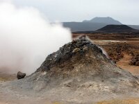 IS, Nordurland eystra, Nordurbing, Namafjall 11, Saxifraga-Mira, Hoogenboom