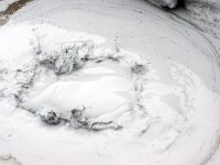 IS, Nordurland eystra, Nordurbing, Namafjall 15, Saxifraga-Mira, Hoogenboom