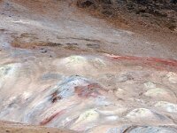 IS, Nordurland eystra, Nordurbing, Namafjall 2, Saxifraga-Dick, Hoogenboom