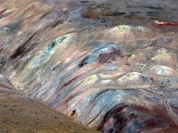 IS, Nordurland eystra, Nordurbing, Namafjall 9, Saxifraga-Dick, Hoogenboom