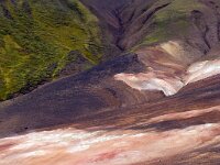 IS, Nordurland eystra, Nordurbing, Peistareykir 1, Saxifraga-Dick, Hoogenboom