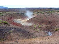 IS, Nordurland eystra, Nordurbing, Peistareykir 14, Saxifraga-Mira, Hoogenboom