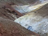 IS, Nordurland eystra, Nordurbing, Peistareykir 17, Saxifraga-Mira, Hoogenboom