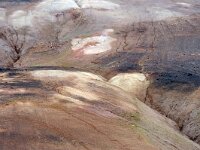 IS, Nordurland eystra, Nordurbing, Peistareykir 2, Saxifraga-Dick, Hoogenboom