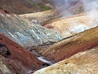 IS, Nordurland eystra, Nordurbing, Peistareykir 3, Saxifraga-Dick, Hoogenboom