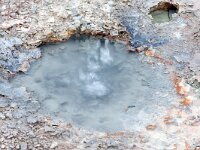 IS, Nordurland eystra, Nordurbing, Peistareykir 9, Saxifraga-Mira, Hoogenboom