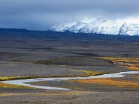 IS, Nordurland vestra, Austur-hunavatnssysla, Hvredalur 1, Saxifraga-Dick Hoogenboom