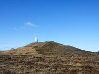 IS, Sudurnes, Reykjanesbaer, Reykjanes 2, Saxifraga-Bart Vastenhouw