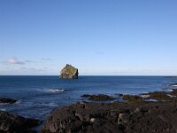 IS, Sudurnes, Reykjanesbaer, Reykjanes 3, Saxifraga-Bart Vastenhouw