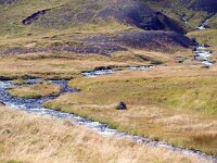 IS, Vesturland, Eyja- og Miklaholtshreppur, Ytri-Raudamelskulur 5, Saxifraga-Dick Hoogenboom