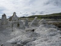 N, Finnmark, Porsanger, Trollholmsund 25, Saxifraga-Willem van Kruijsbergen