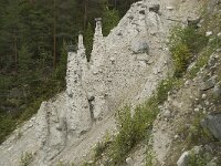 N, Innlandet, Sel, Kvitskriuprestene 1, Saxifraga-Willem van Kruijsbergen