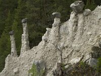 N, Innlandet, Sel, Kvitskriuprestene 2, Saxifraga-Willem van Kruijsbergen