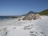 N, Nordland, Andoy, Bleik 11, Saxifraga-Willem van Kruijsbergen