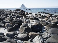 N, Nordland, Andoy, Bleik 14, Saxifraga-Willem van Kruijsbergen