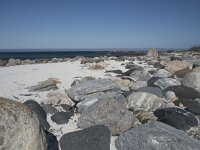 N, Nordland, Andoy, Bleik 5, Saxifraga-Willem van Kruijsbergen