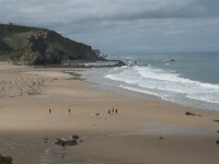 P, Faro, Aljezur, Carrapateira, Praia do Amado 36, Saxifraga-Willem van Kruijsbergen