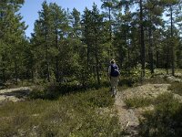 S, Gavleborgs lan, Hudiksvall, Holick 10, Saxifraga-Jan van der Straaten